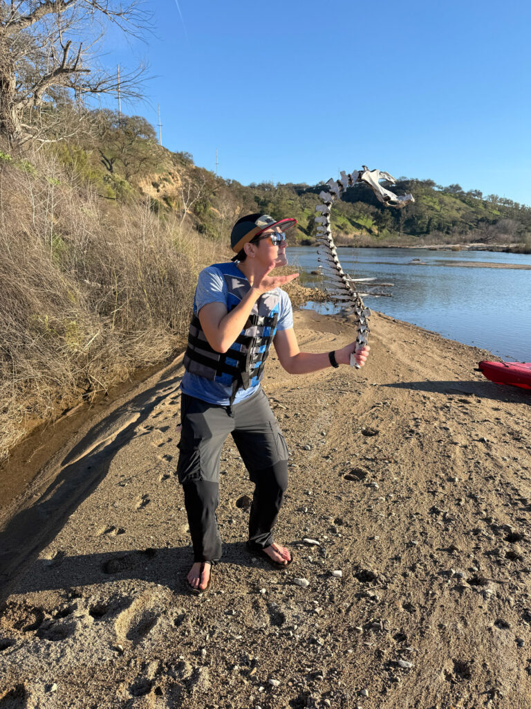 The author holds a spine of an animal found preserved on the side of the river
